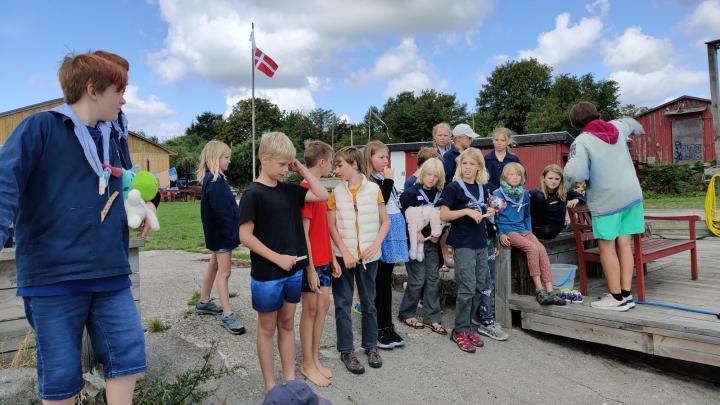 Ulvenes sommertur til Amager i 2023